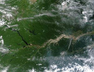 Immagine satellitare a colori reali del fiume Amazzonia